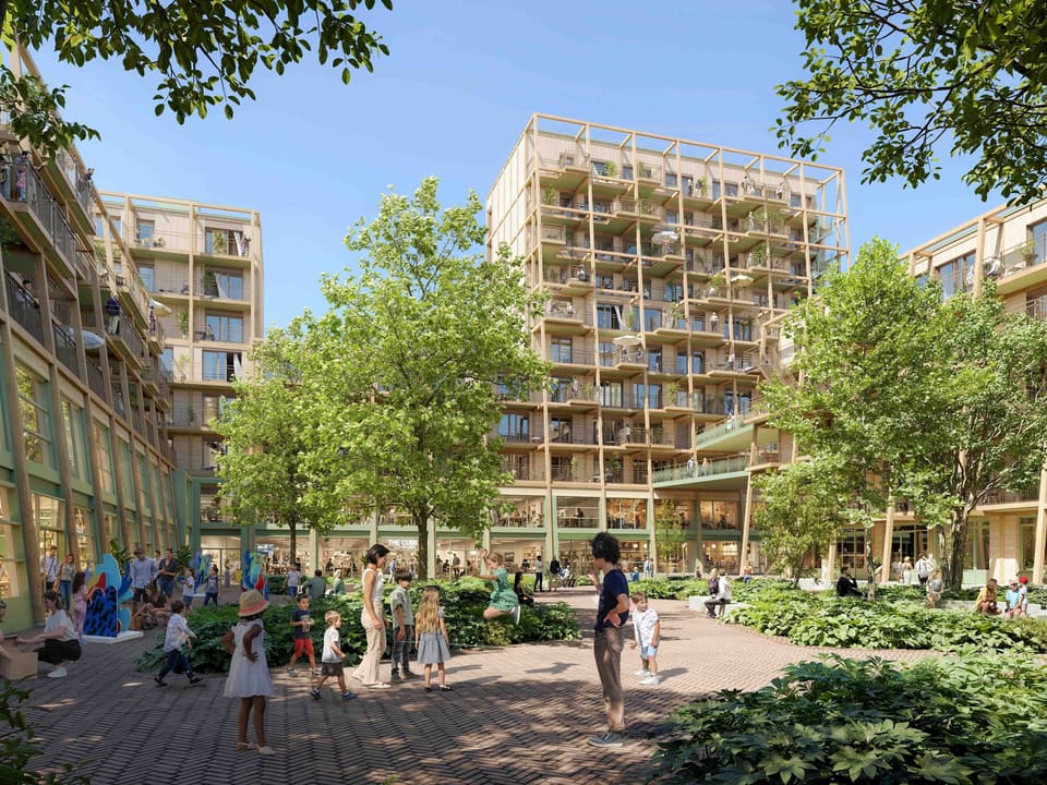 Visualisation of Robin Wood: timber-framed buildings around a green courtyard with a tiny forest